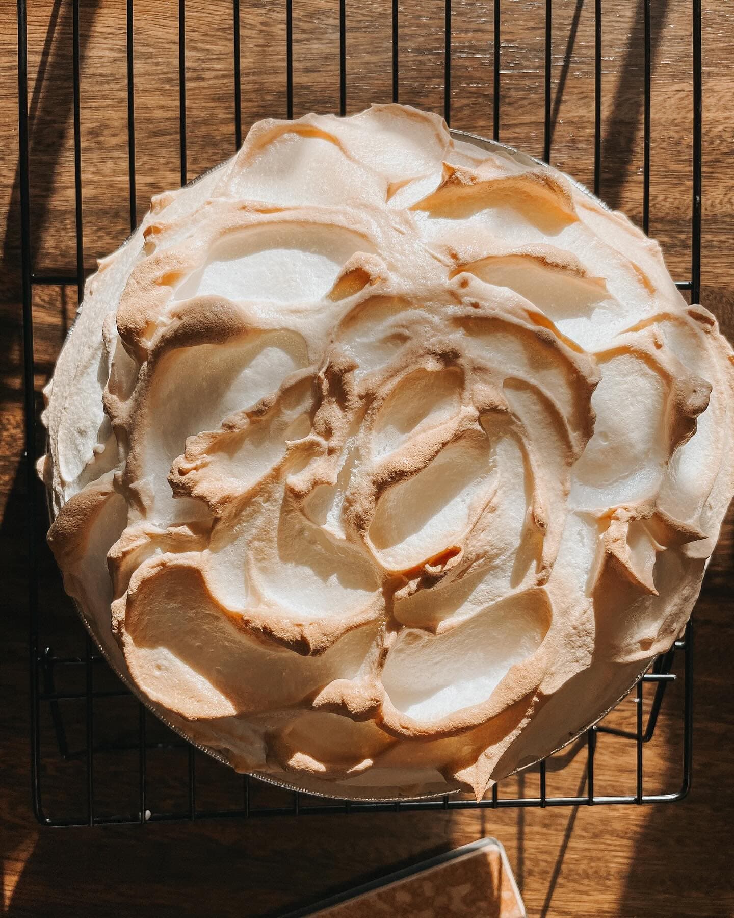 Homemade Pies